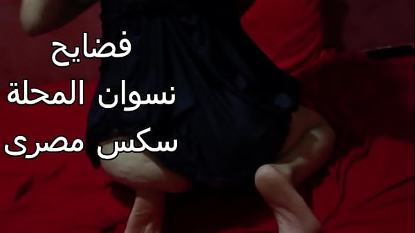 مصرية شرموطة طيزها كبيرة عايزة تتناك بقوة