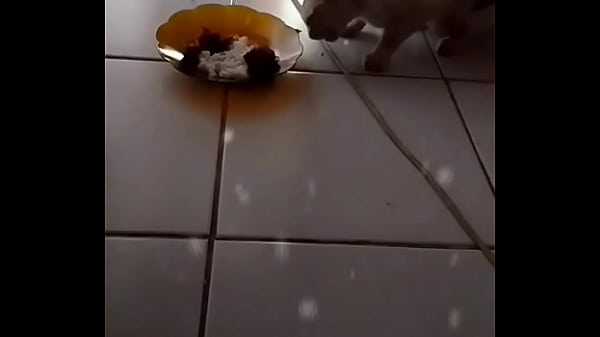 Anita Lagi Basah Keringetan, Siap Digoyang Sampai Meraung.